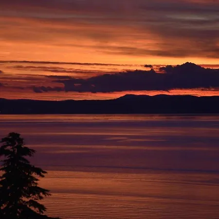 Appartement Charming In With Pool *