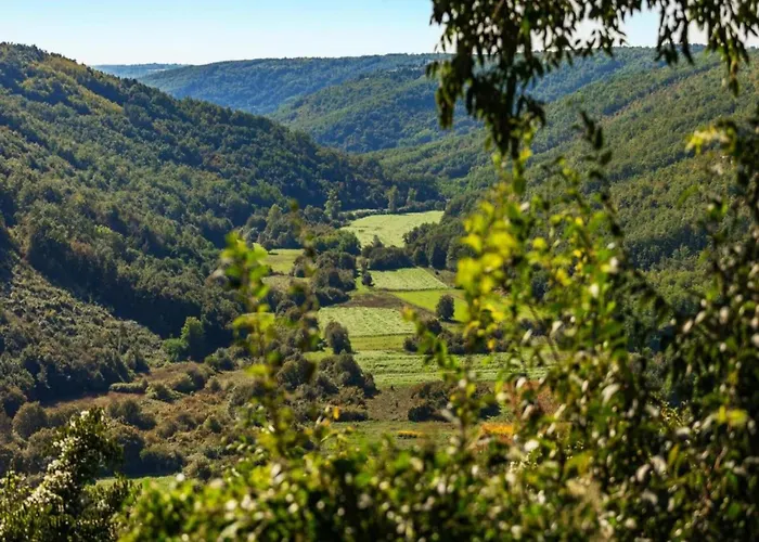 Апартаменты Charming In With Pool Макарска